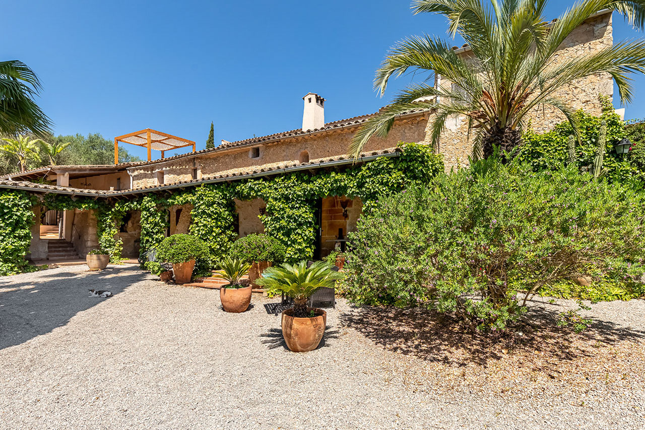 The honey-stone facade of the finca draped in ivy, a timber pergola and terracotta pots along a gravel forecourt, a tall palm to one side