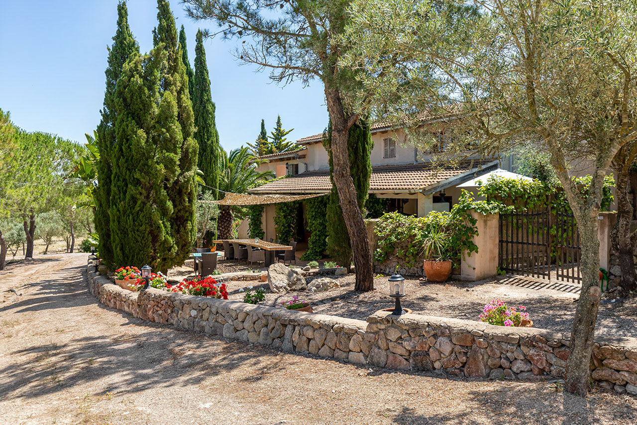 Finca Son Jorbo seen across its grounds at midday: tall cypresses and old olive trees, a low dry-stone wall and the honey-stone house behind under a clear blue sky